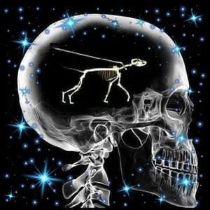 Meet your Posher, Glenn